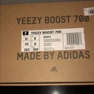 YEEZY WAVERUNNER 700 for sale